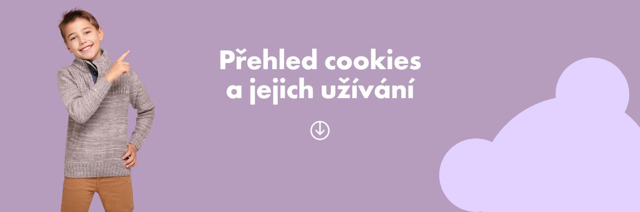 Přehled cookies a jejich užívání