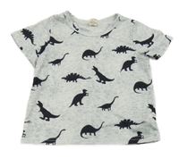 Světlešedé melírované tričko s dinosaury