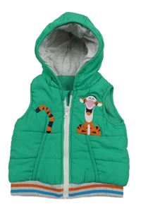 Zelená šusťáková prošívaná zateplená vesta s Tygříkem a kapucí George