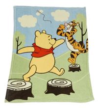 Světlemodro-zelená plyšová deka s Pú a Tygrem Disney