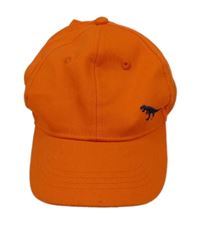 Oranžová plážová kšiltovka s dinosaurem C&A