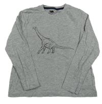Šedé triko s dinosaurem Lupilu