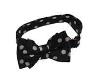 Černý puntíkatý motýlek