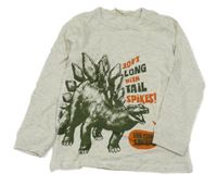 Světlešedé melírované triko s nápisy a dinem H&M