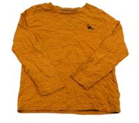 Cihlovo-černé melírované triko s dinosaurem F&F