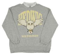 Šedá melírovaná lehká mikina s Hedvikou a límečkem H&M