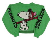 Zelený crop svetr se Snoopym H&M
