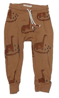 Hnědé turecké tepláky s dinosaury Next