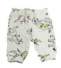 Smetanové tepláky s dinosaury Primark