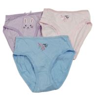 3x kalhotky - lila + modré + světlerůžové 