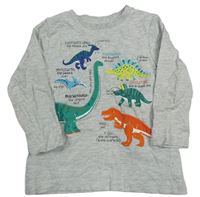 Světlešedé melírované triko s dinosaury Nutmeg