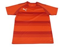 Červené pruhované sportovní funkční tričko s logem Puma