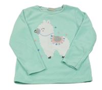 Mátová fleecová mikina s lamou C&A