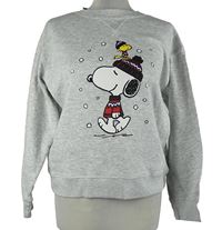 Dámská šedá mikina se Snoopym H&M