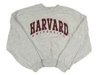 Šedá melírovaná crop mikina s nápisem H&M