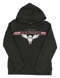 Tmavošedá melírovaná mikina s Hedwigou - Harry Potter a pruhy a kapucí