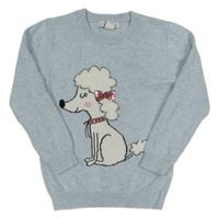 Světlemodrý svetr s pudlem Primark