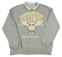 Šedá mikina s Hedvikou a límečkem H&M