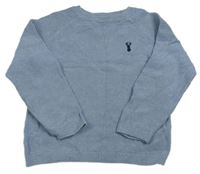 Světlemodrý svetr s výšivkou Next