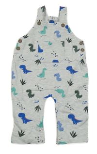 Šedé teplákové lacláče s dinosaury Peacocks 