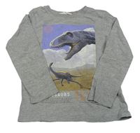 Šedé melírované triko s dinosaury H&M