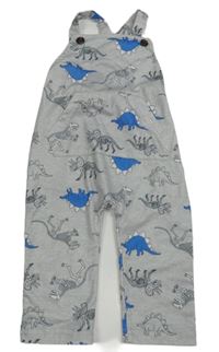 Světlešedé laclové tepláky s dinosaury
