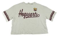 Smetanové crop tričko s nápisem a erbem - Harry Potter a pruhy H&M