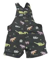 Šedé plátěné laclové kraťasy s dinosaury 